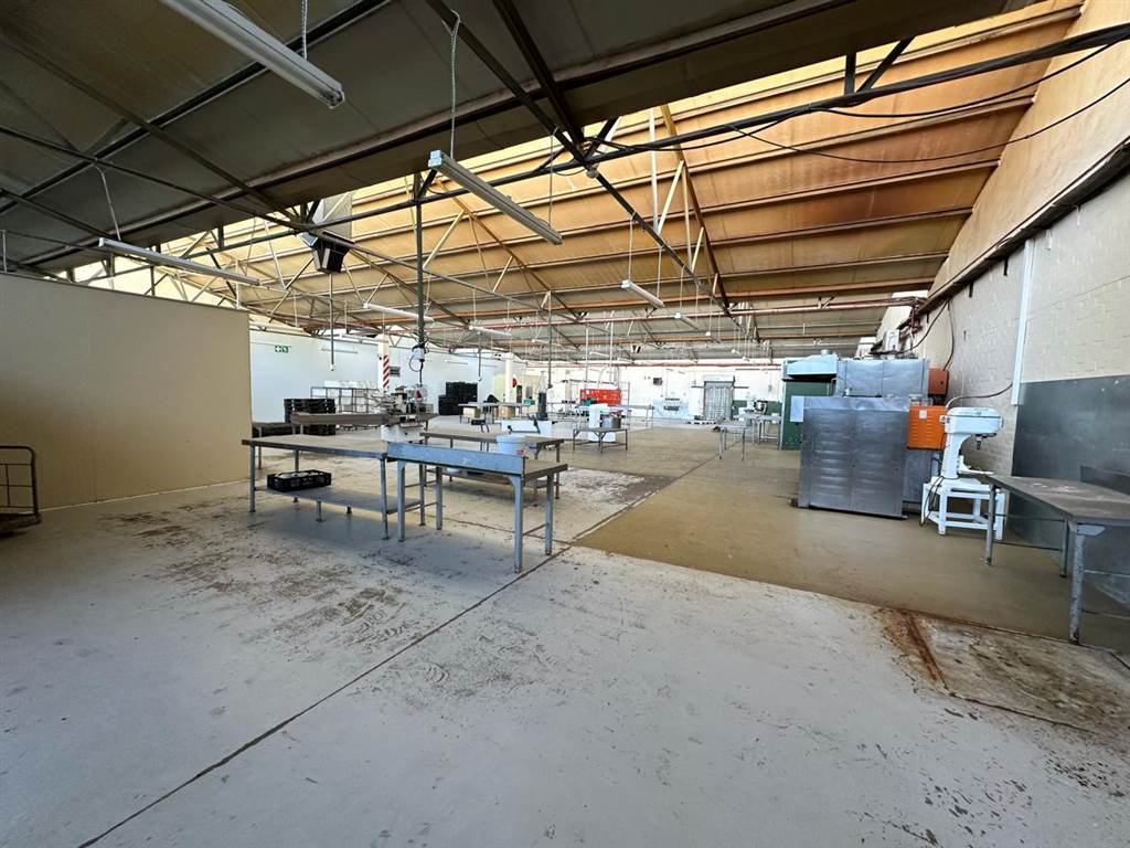 1650  m² Industrial space in Wetton photo number 17
