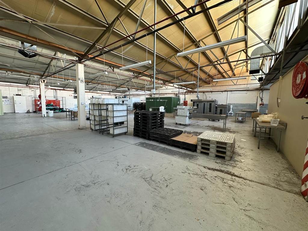1650  m² Industrial space in Wetton photo number 18
