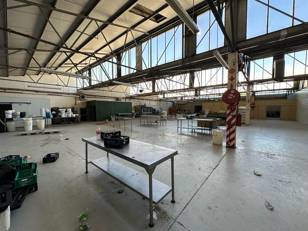 1650  m² Industrial space in Wetton photo number 4