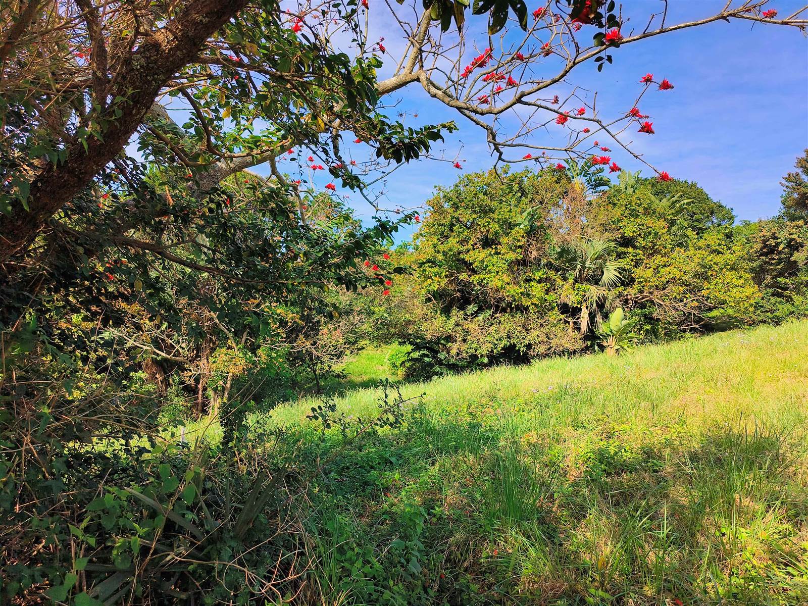 915 m² Land available in Shelly Beach photo number 18