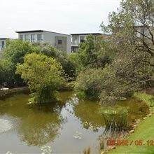 3 Bed Apartment in Fourways photo number 14