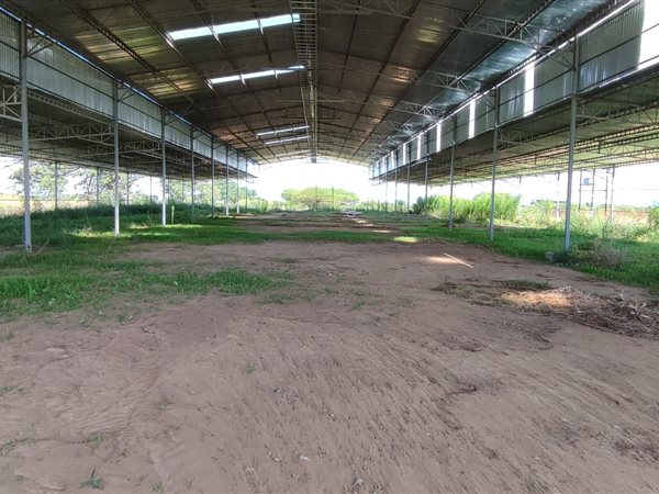 2.9 ha Farm in Tweefontein