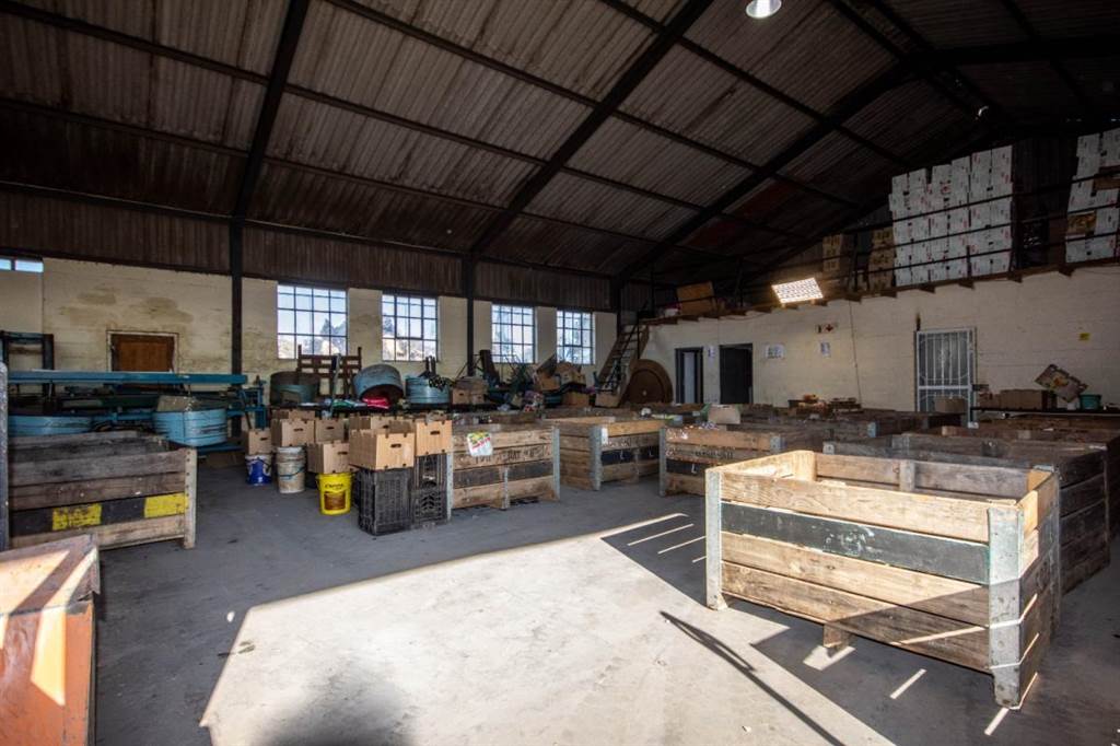 590  m² Industrial space in Grabouw photo number 17
