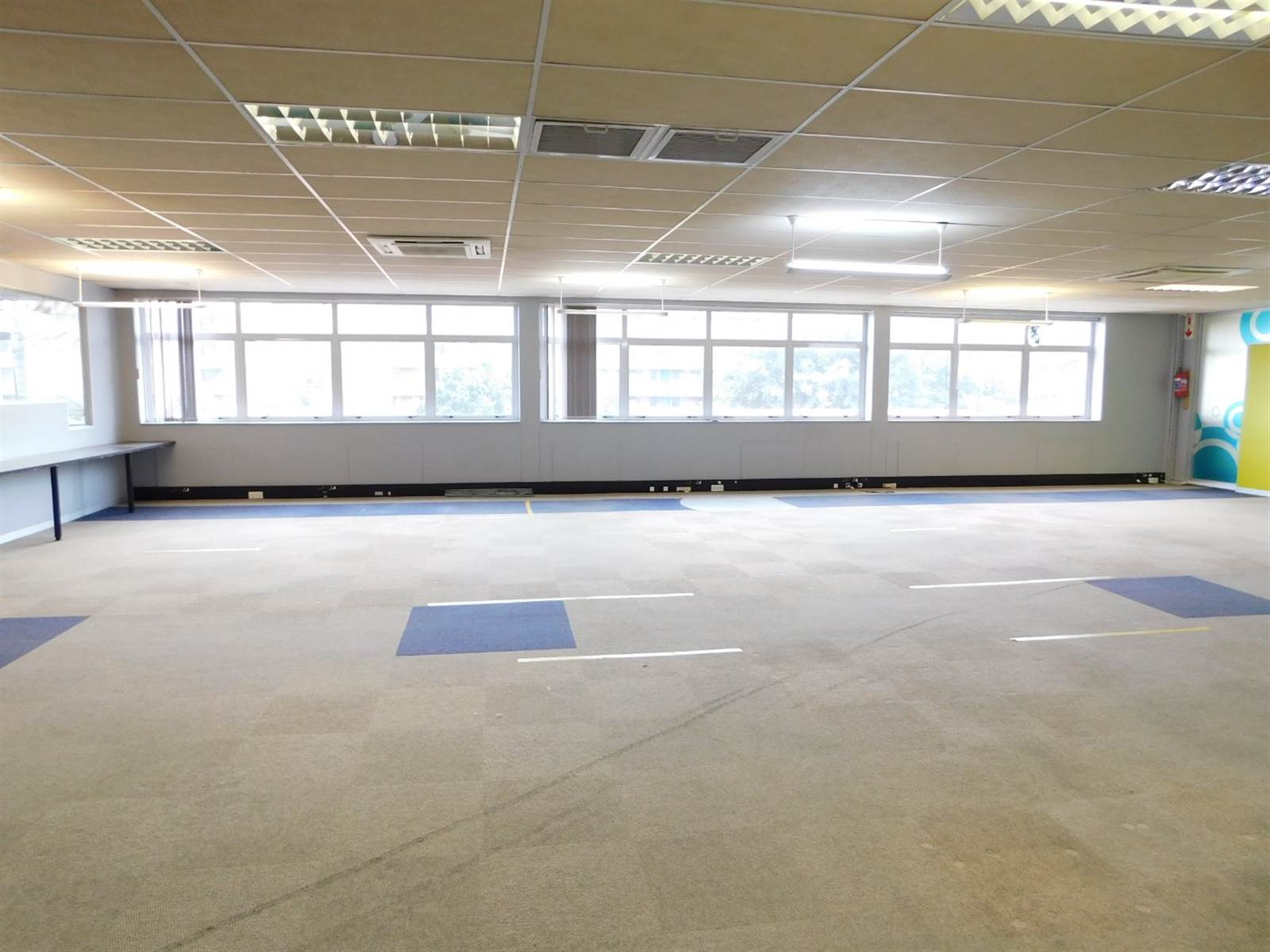 3235  m² Office Space in Randburg Central photo number 12