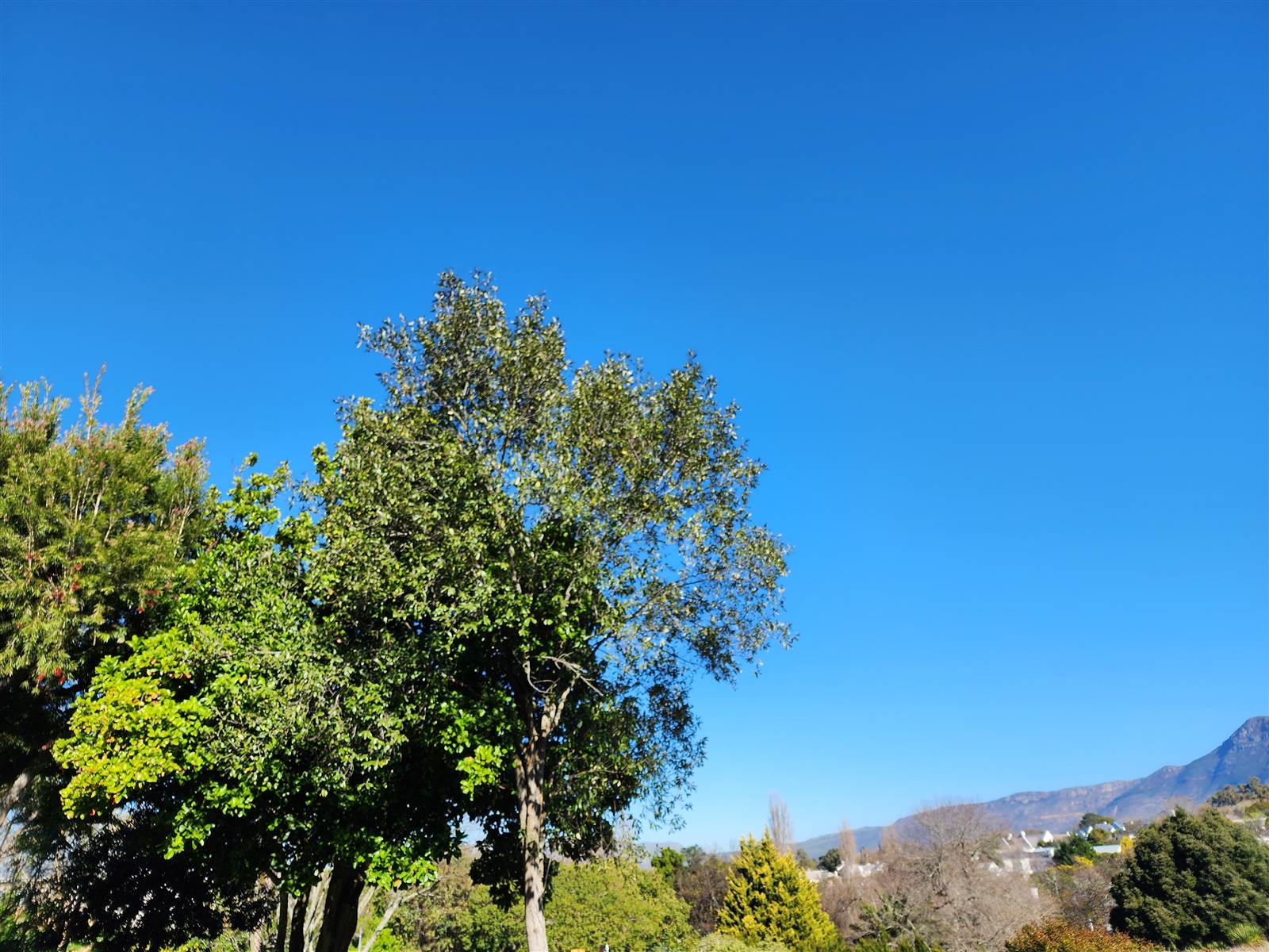 450 m² Land available in Constantia photo number 5