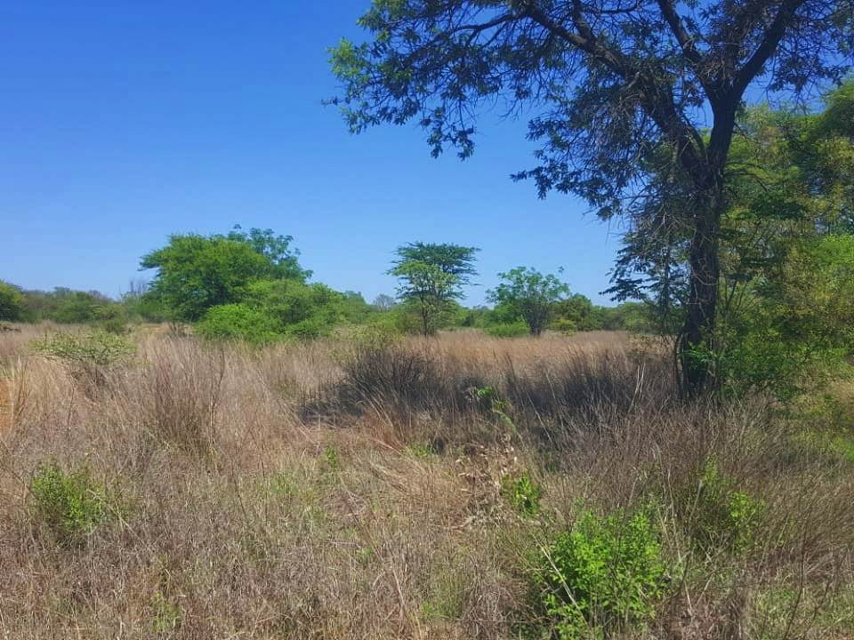 4 ha Land available in Elmadal AH photo number 12