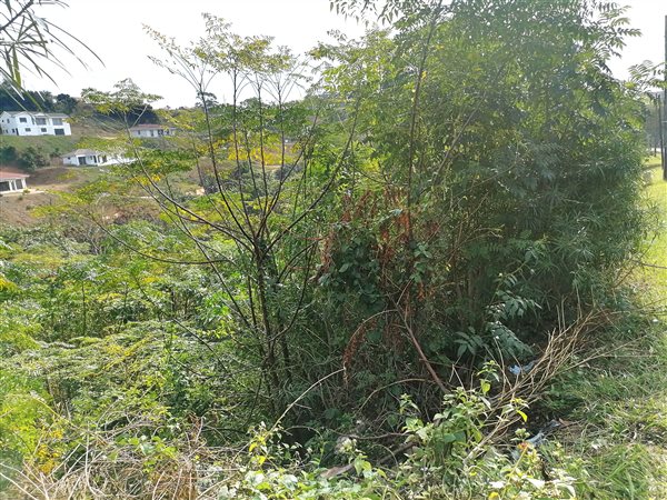1181 m² Land available in Doon Heights