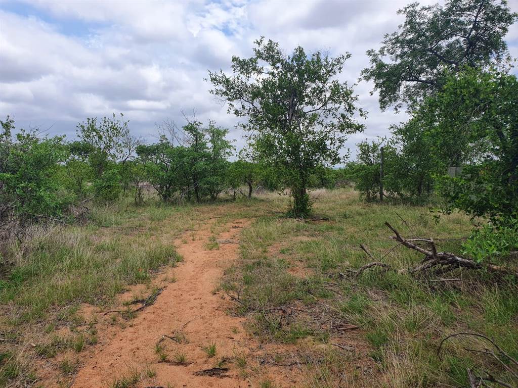 21 ha Land available in Phalaborwa photo number 4