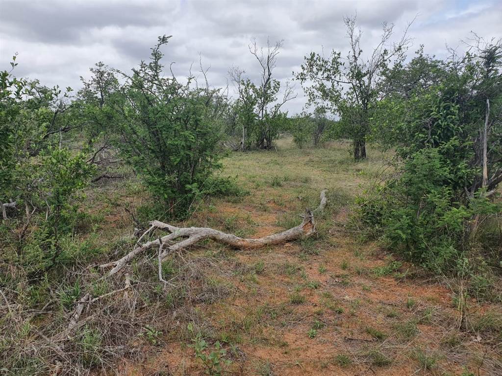 21 ha Land available in Phalaborwa photo number 7