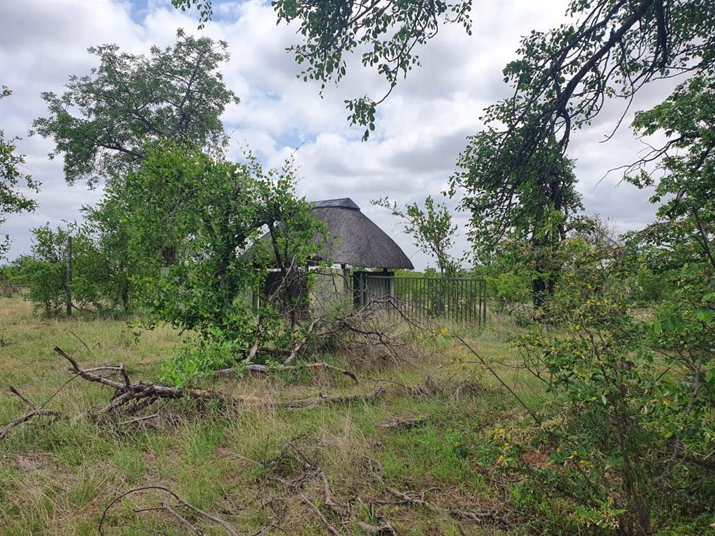 21 ha Land available in Phalaborwa photo number 2