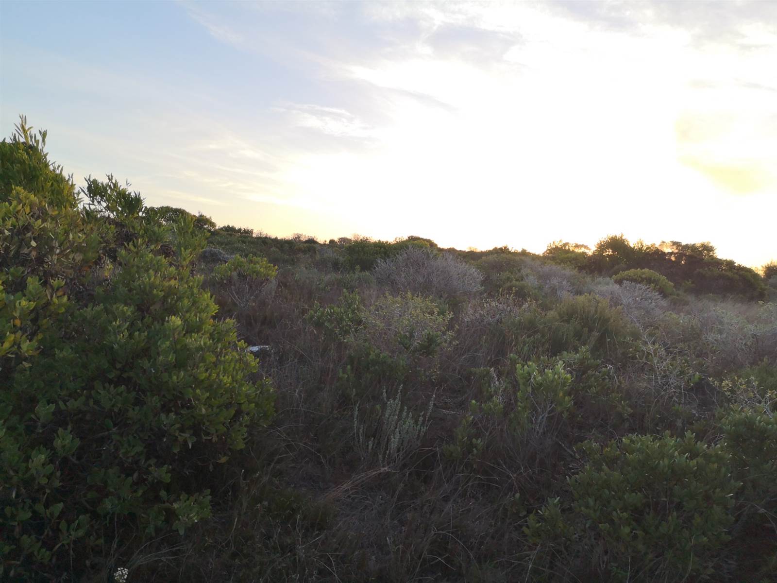 609 m² Land available in Kleinbaai photo number 4
