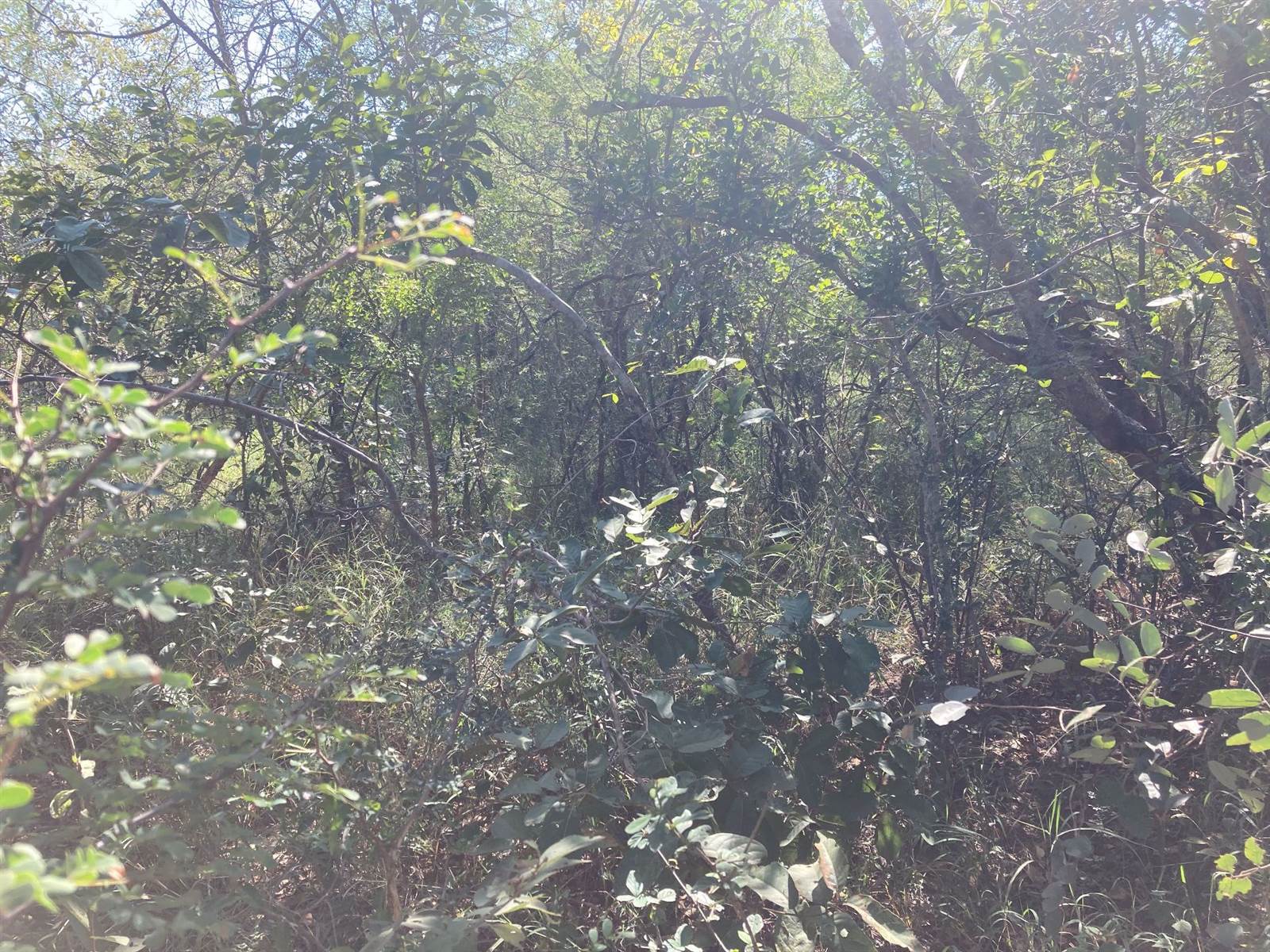 9935 m² Land available in Moditlo Nature Reserve photo number 9