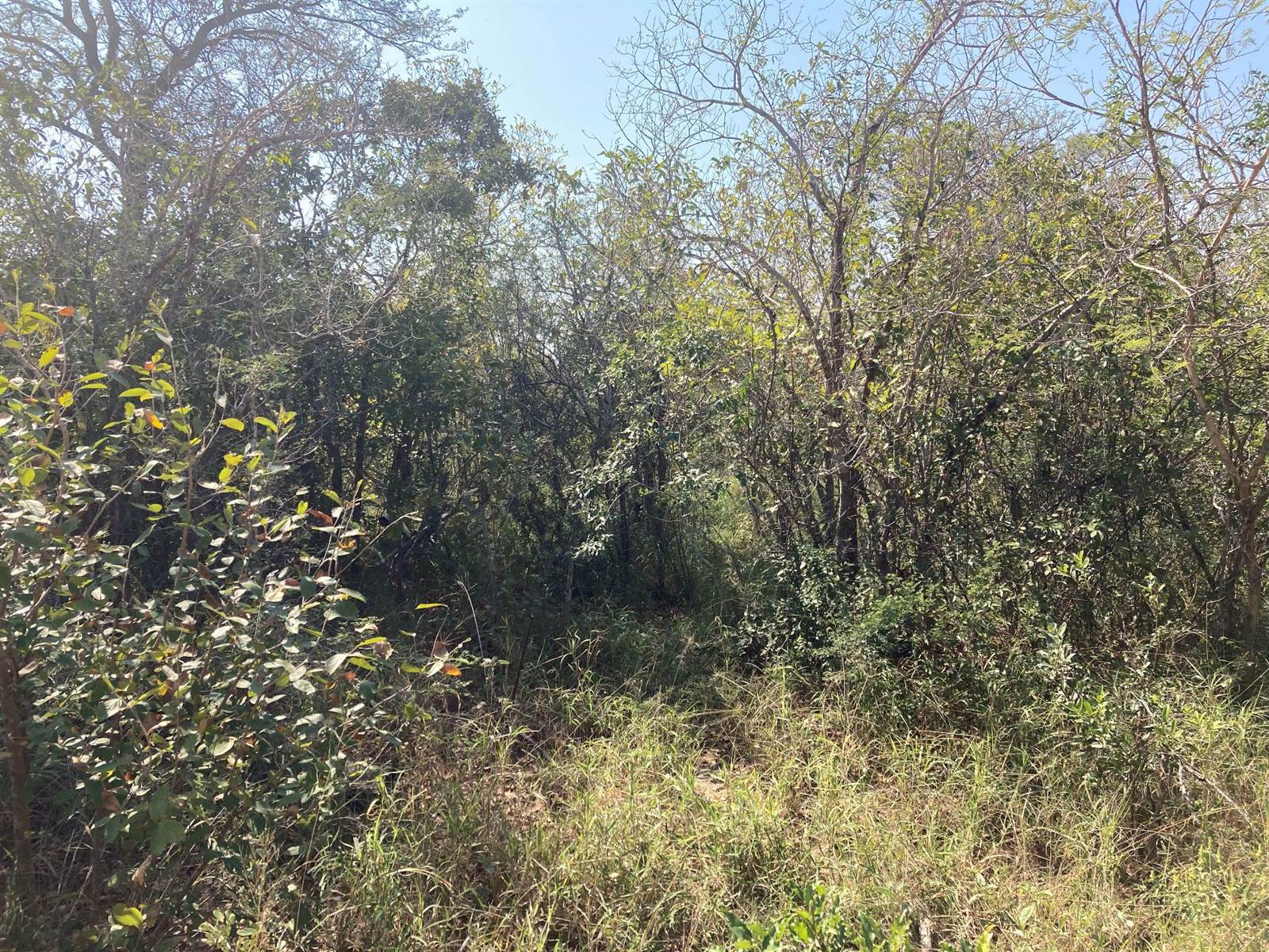 9935 m² Land available in Moditlo Nature Reserve photo number 2