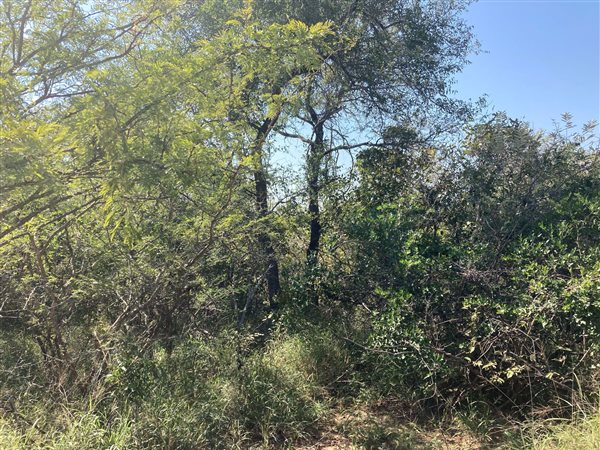 9935 m² Land available in Moditlo Nature Reserve