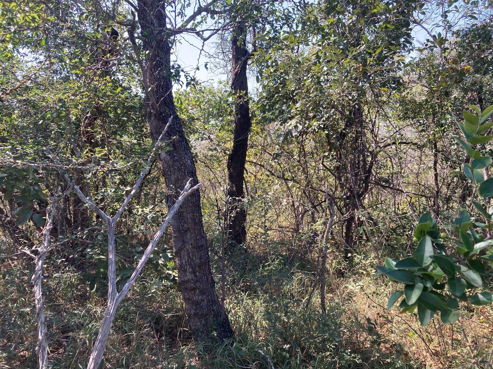9935 m² Land available in Moditlo Nature Reserve photo number 5
