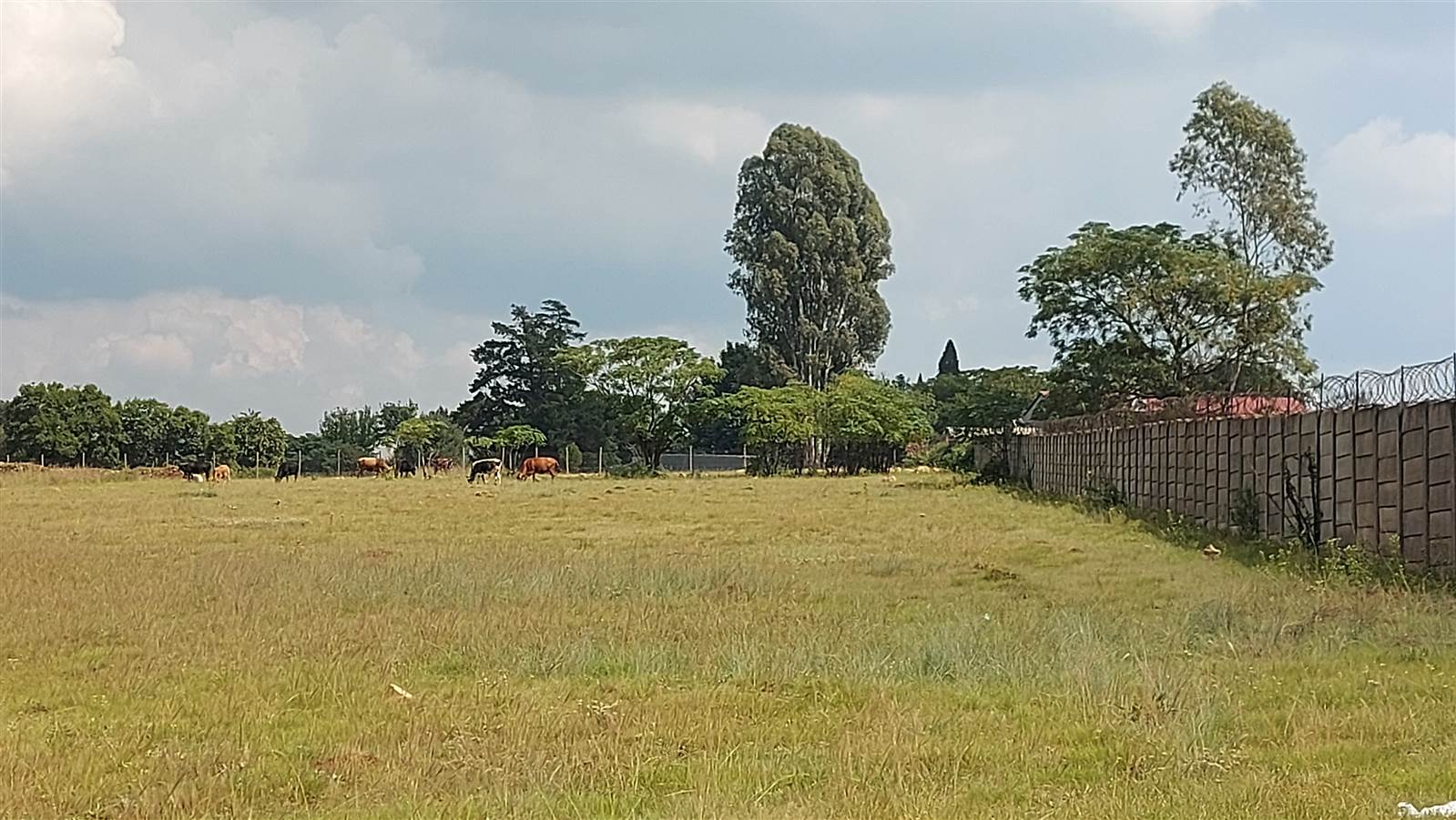1.7 ha Farm in Benoni AH photo number 12
