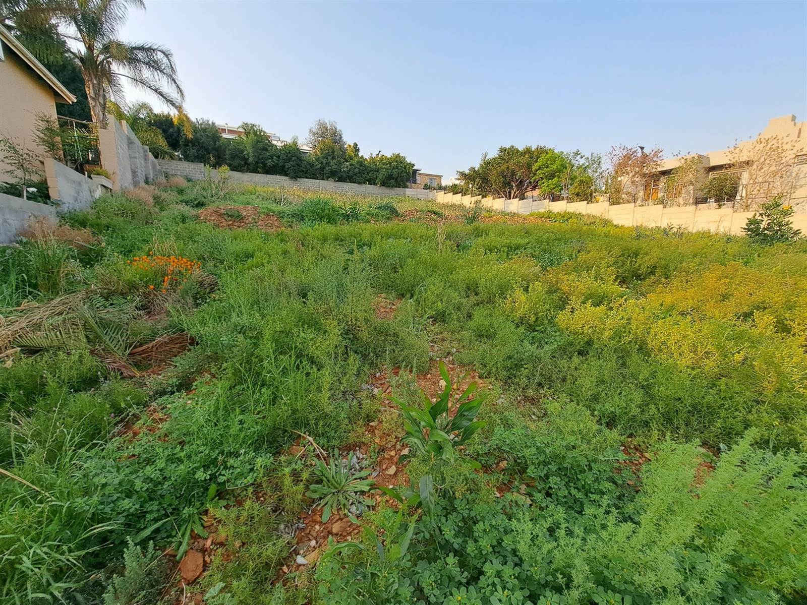 1000 m² Land available in Fairway Heights photo number 8