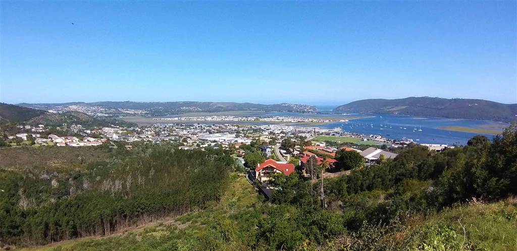 810 m² Land available in Knysna Heights photo number 2