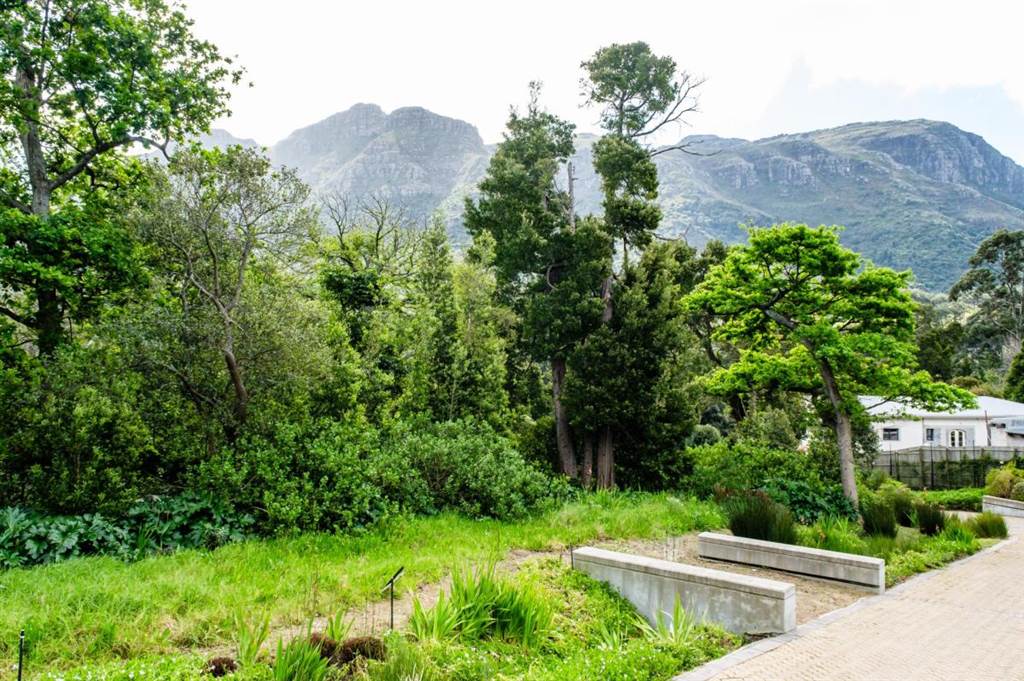 650 m² Land available in Hout Bay and surrounds photo number 6