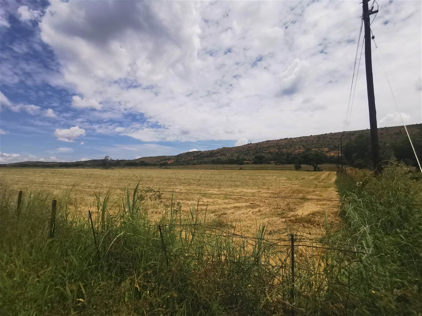 12.8 ha Smallholding in Strydfontein and surrounds photo number 1