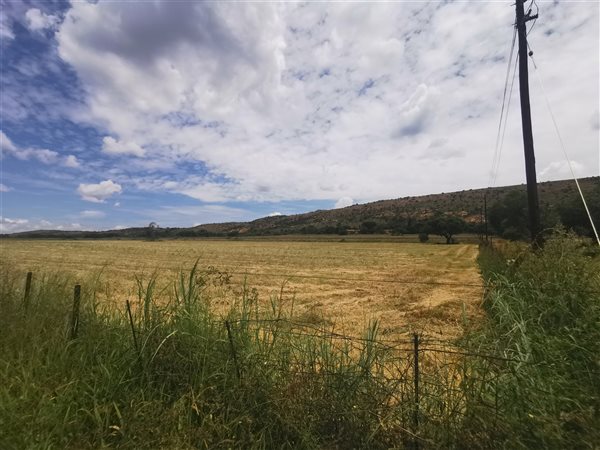 12.8 ha Smallholding in Strydfontein and surrounds
