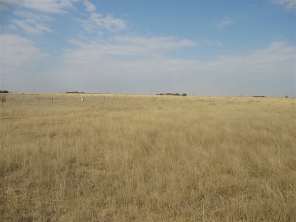 4.3 ha Land available in Martindale