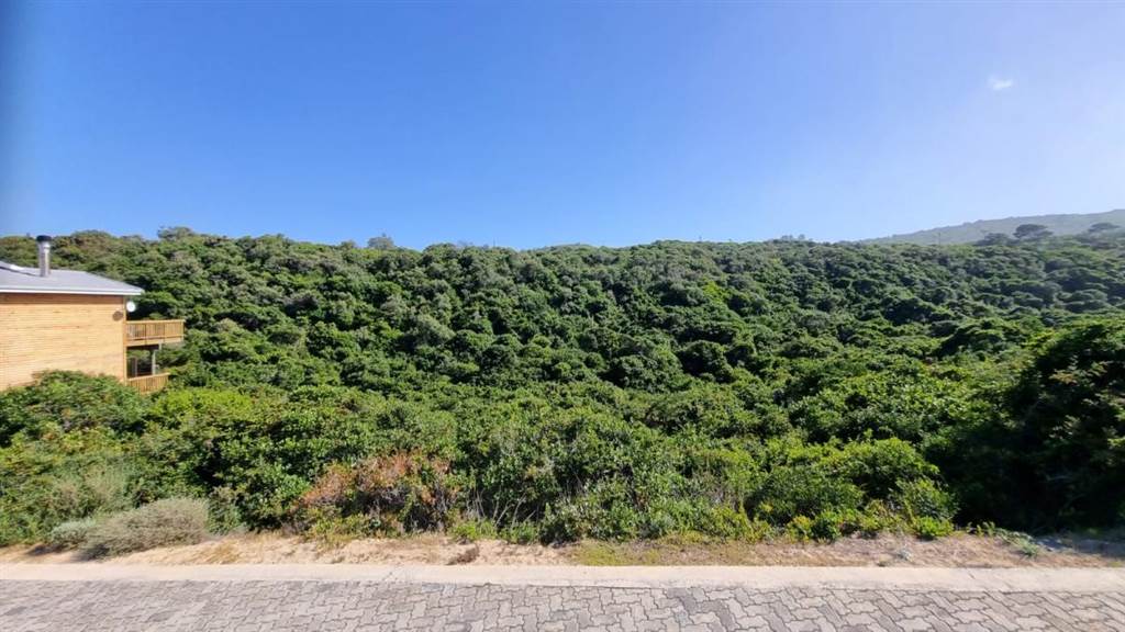 261 m² Land available in Dwarswegstrand photo number 11