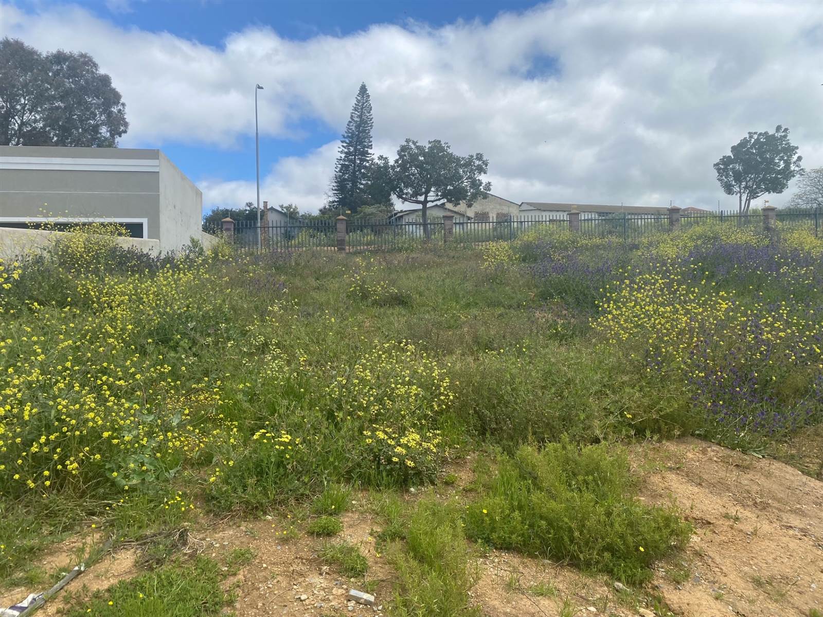 343 m² Land available in Malmesbury photo number 3