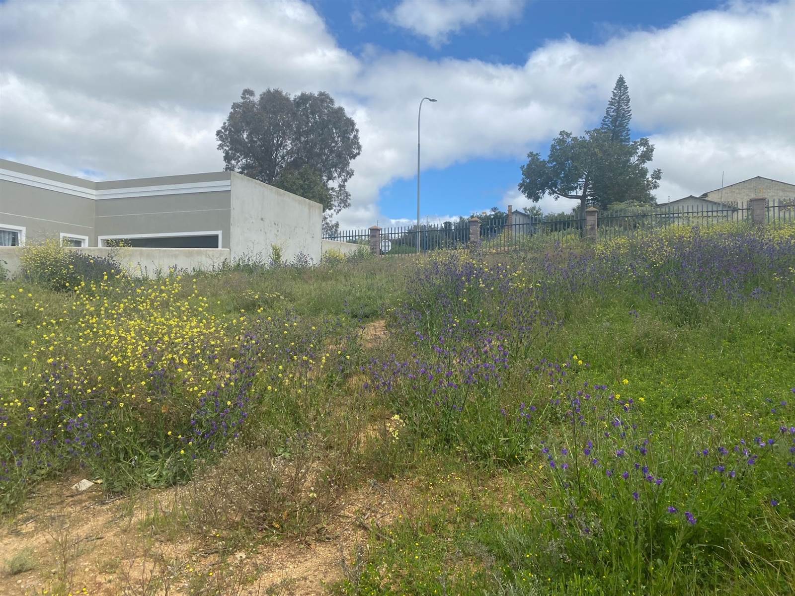 343 m² Land available in Malmesbury photo number 6