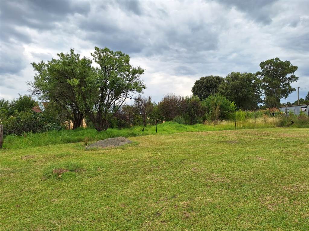 1 ha Land available in Reitz photo number 11