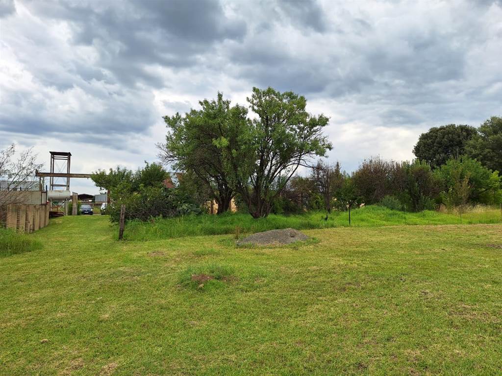 1 ha Land available in Reitz photo number 13