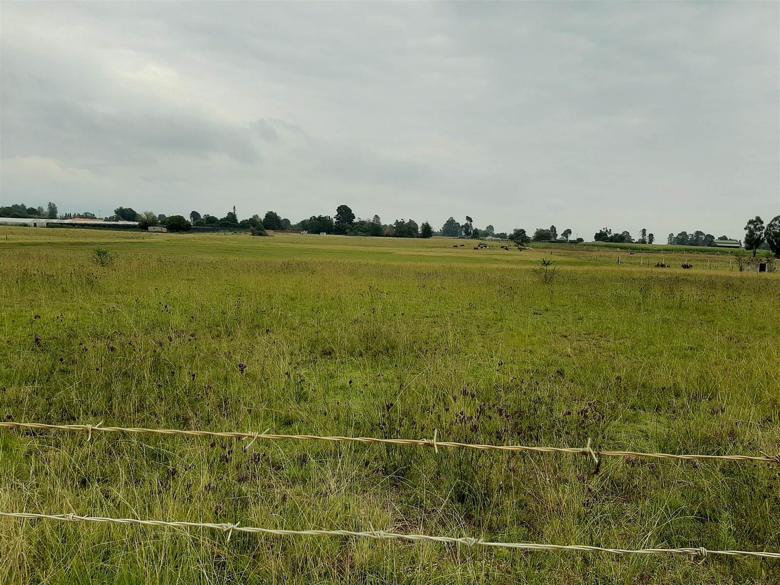 12 ha Land available in Delmas photo number 5