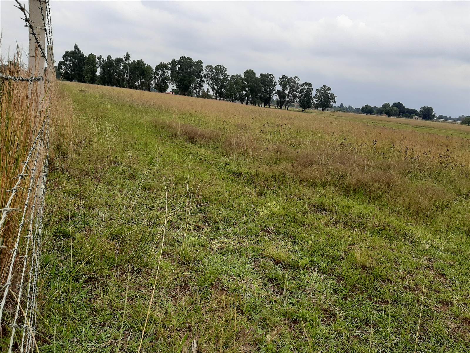 12 ha Land available in Delmas photo number 17