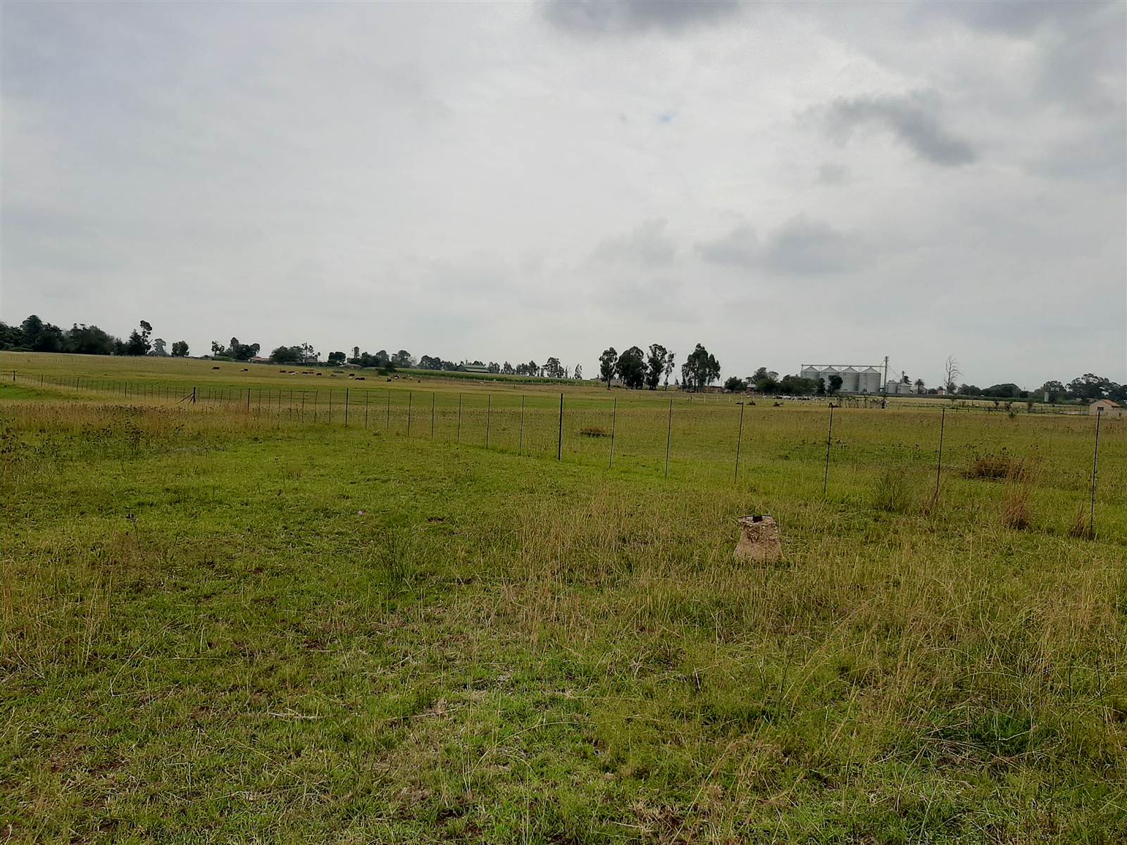 12 ha Land available in Delmas photo number 15