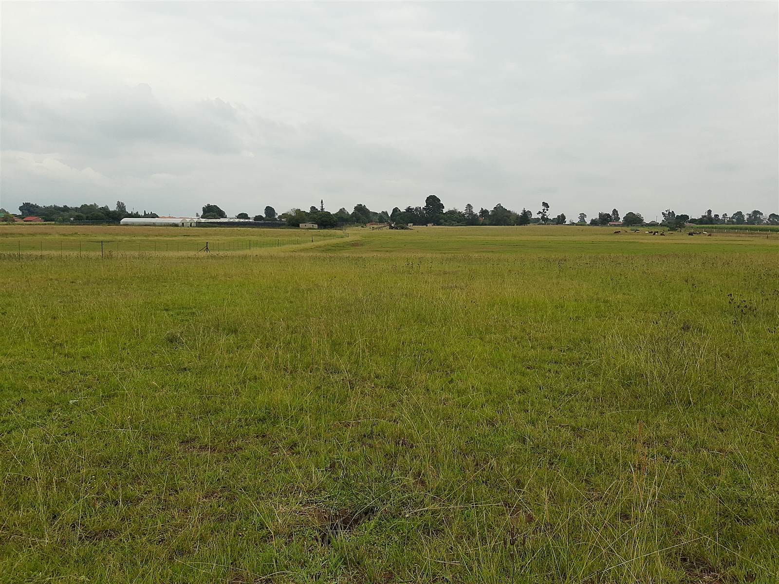 12 ha Land available in Delmas photo number 1