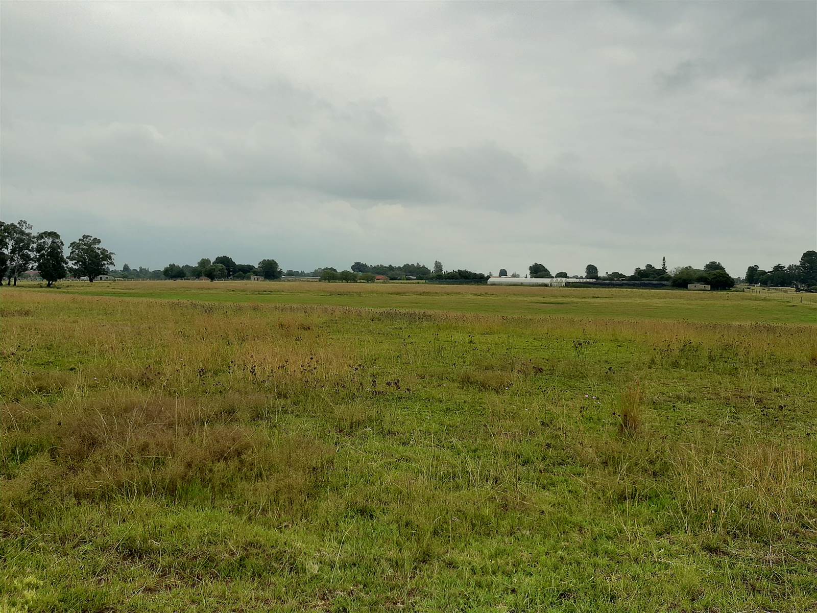 12 ha Land available in Delmas photo number 13