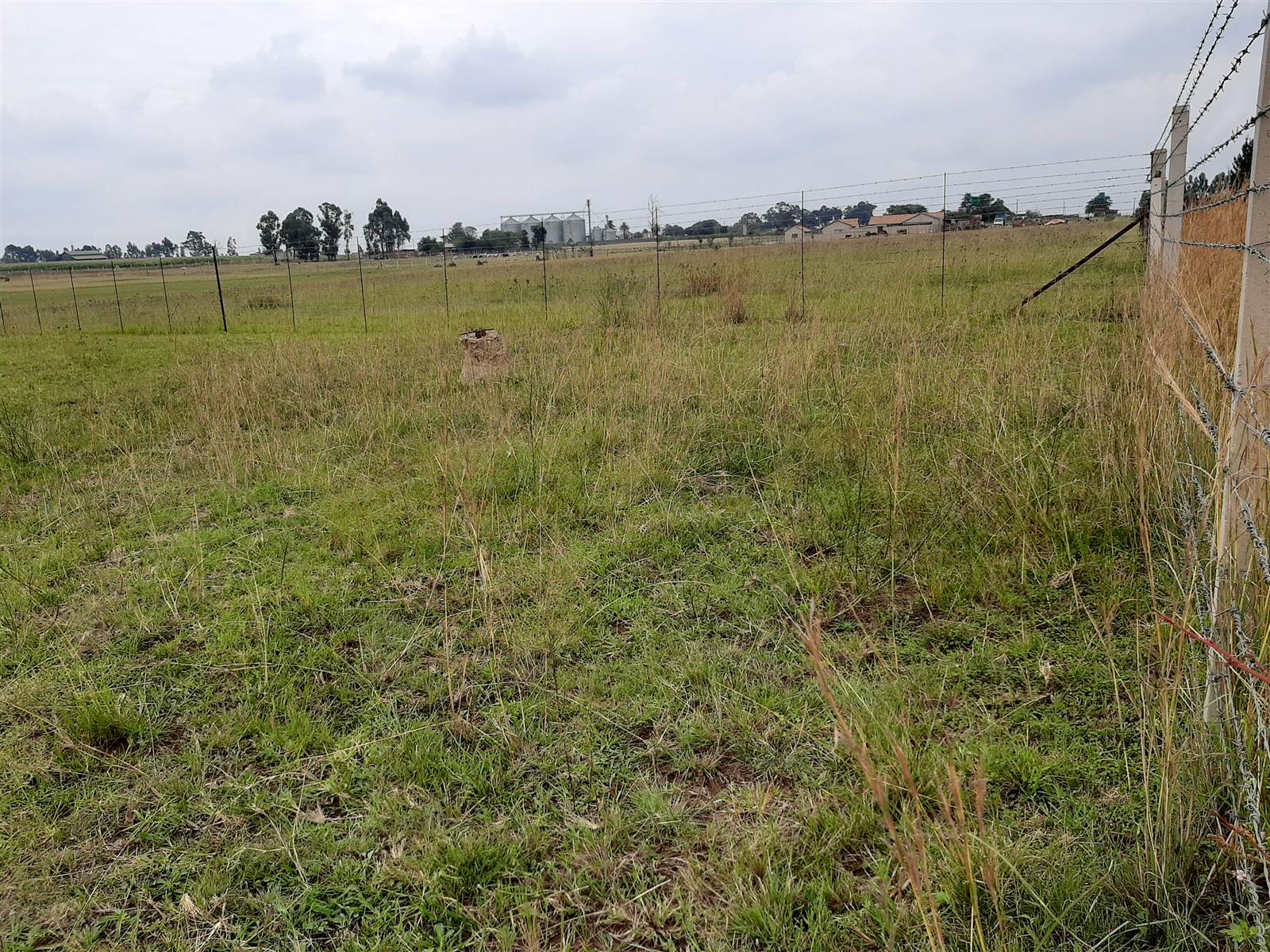 12 ha Land available in Delmas photo number 18