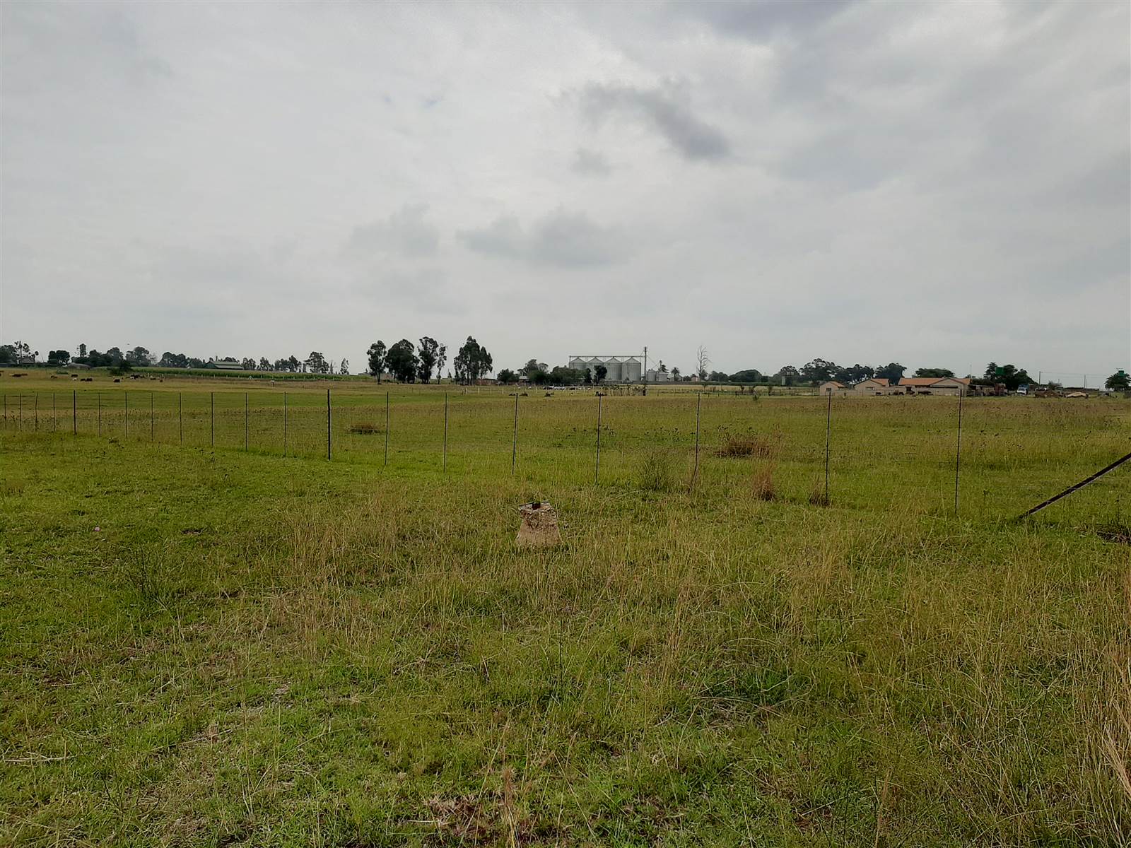12 ha Land available in Delmas photo number 16