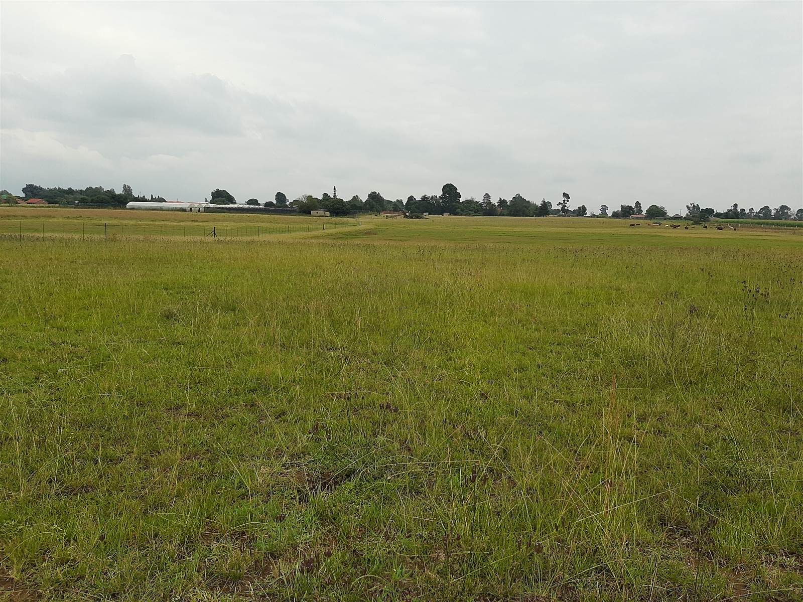 12 ha Land available in Delmas photo number 12