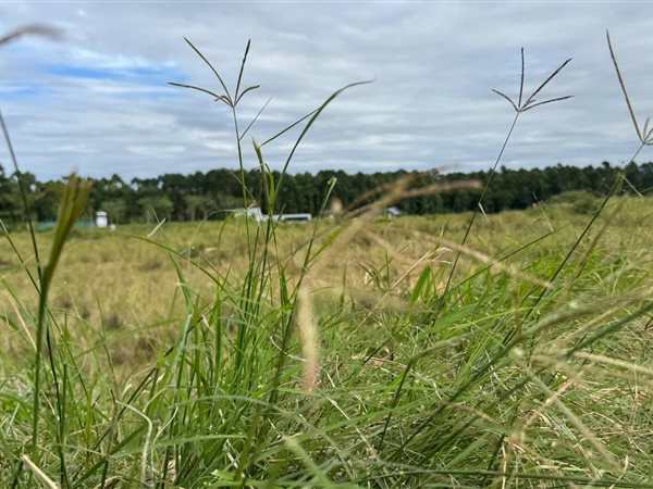 534 m² Land