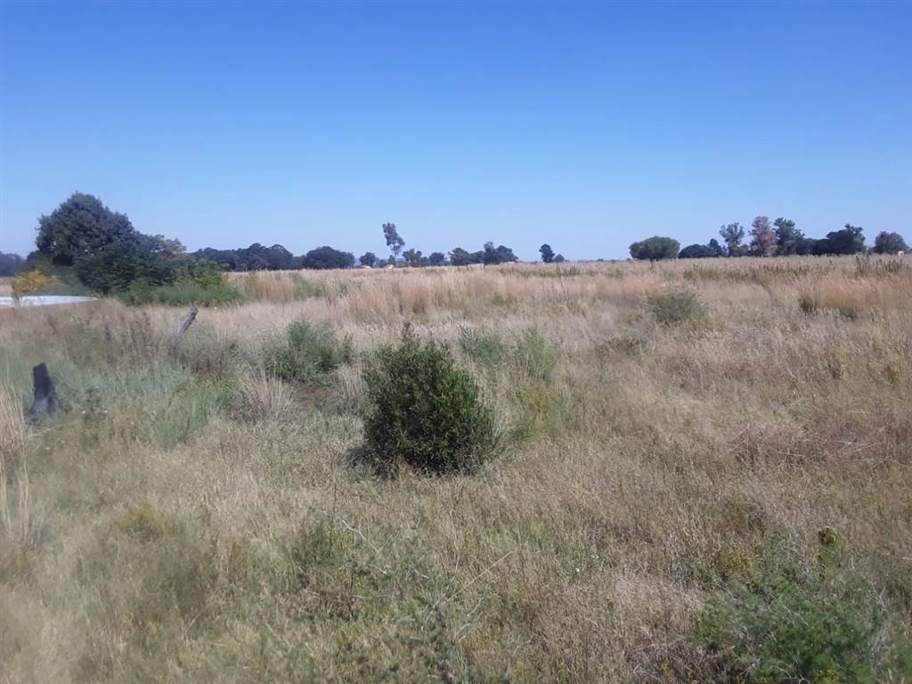 1 ha Land available in Walkers Fruit Farms photo number 6