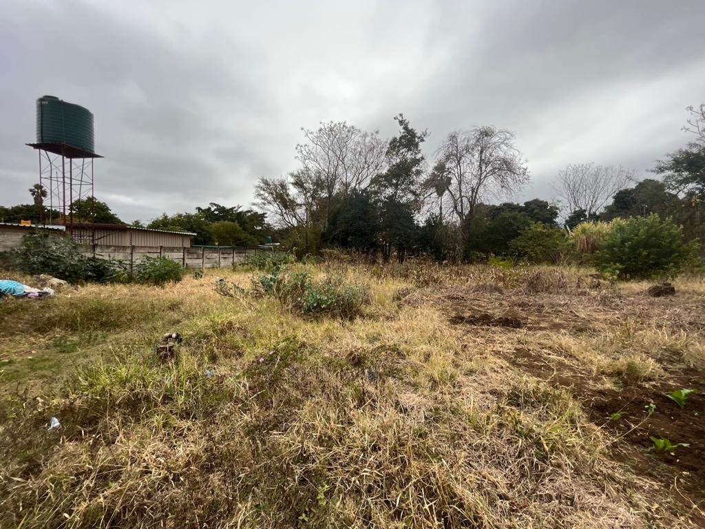 1300 m² Land available in Makhado (Louis Trichardt) photo number 2