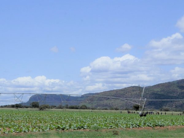 1 661 ha Farm