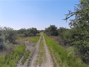 11 m² Land available in Wildebeeshoek AH