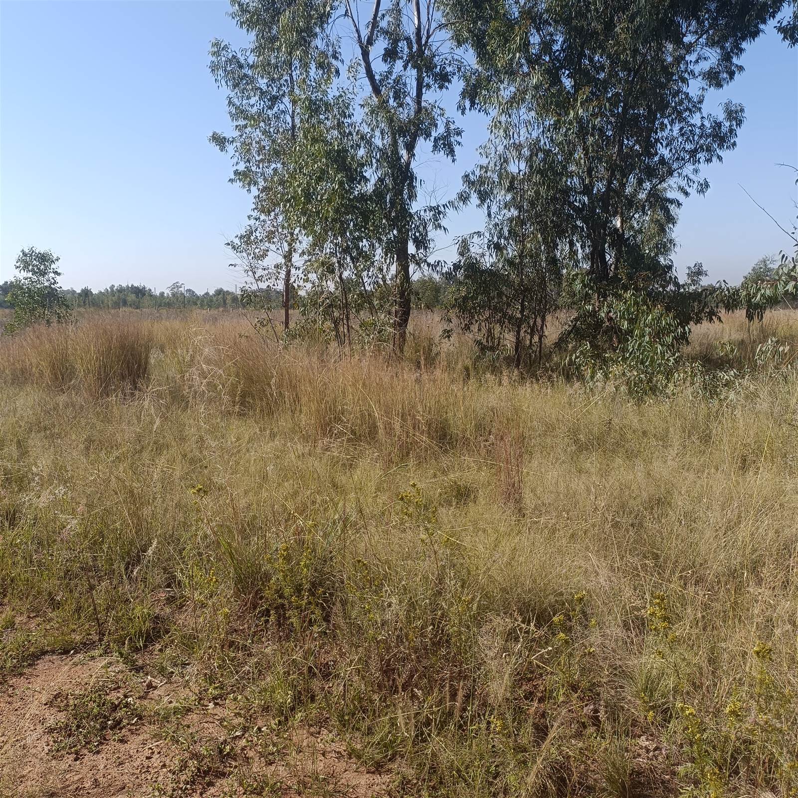 8.7 ha Land available in Cullinan and Surrounds photo number 18