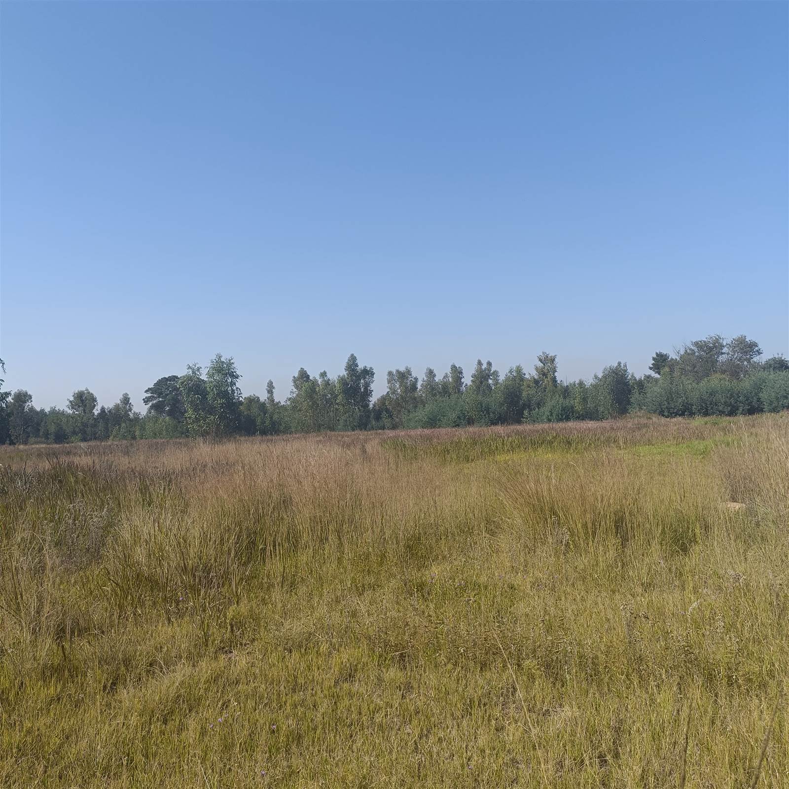 8.7 ha Land available in Cullinan and Surrounds photo number 23