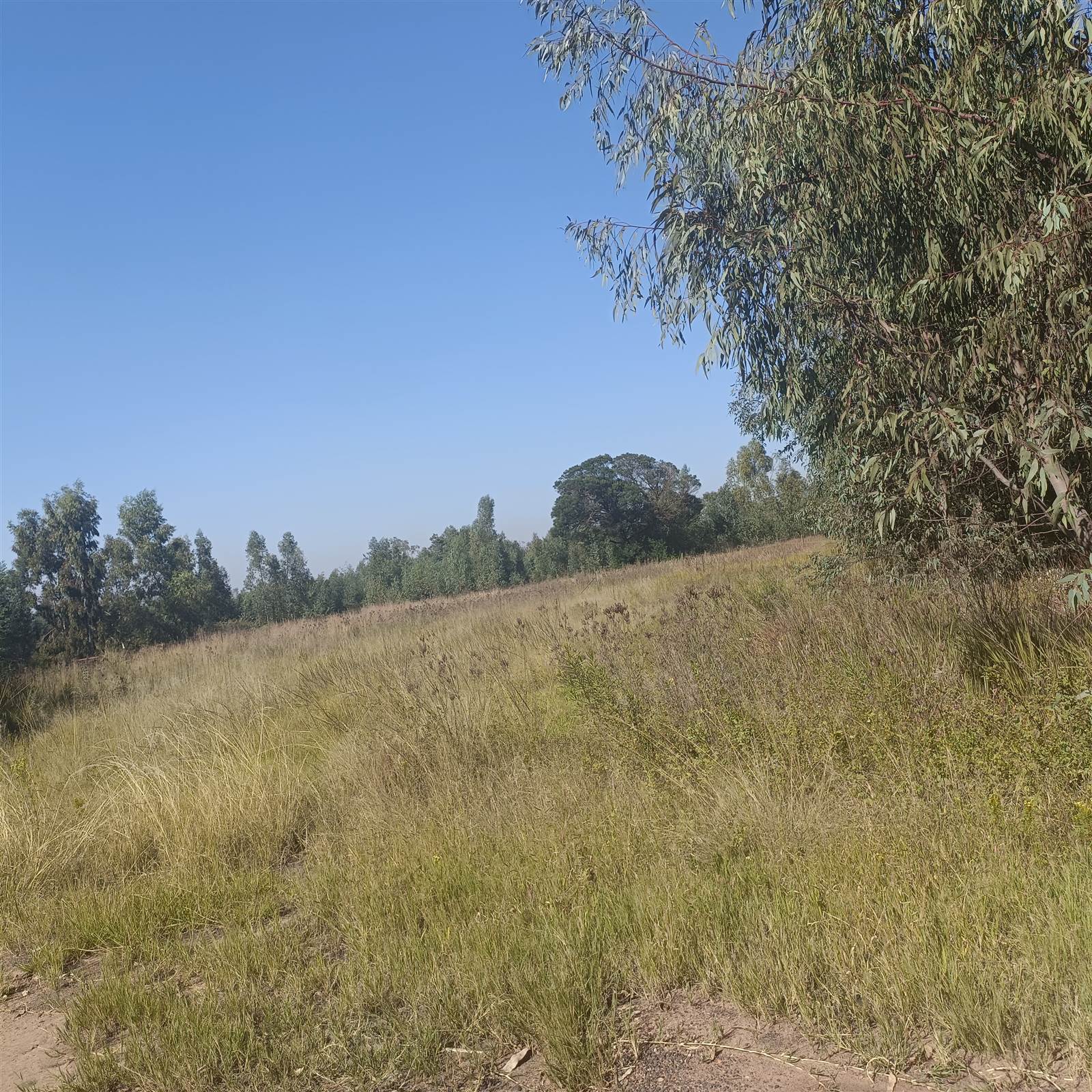 8.7 ha Land available in Cullinan and Surrounds photo number 24