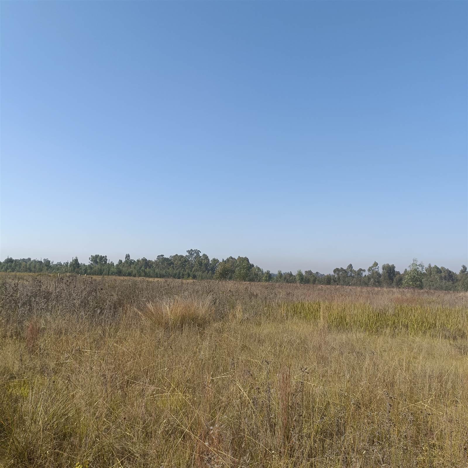 8.7 ha Land available in Cullinan and Surrounds photo number 14