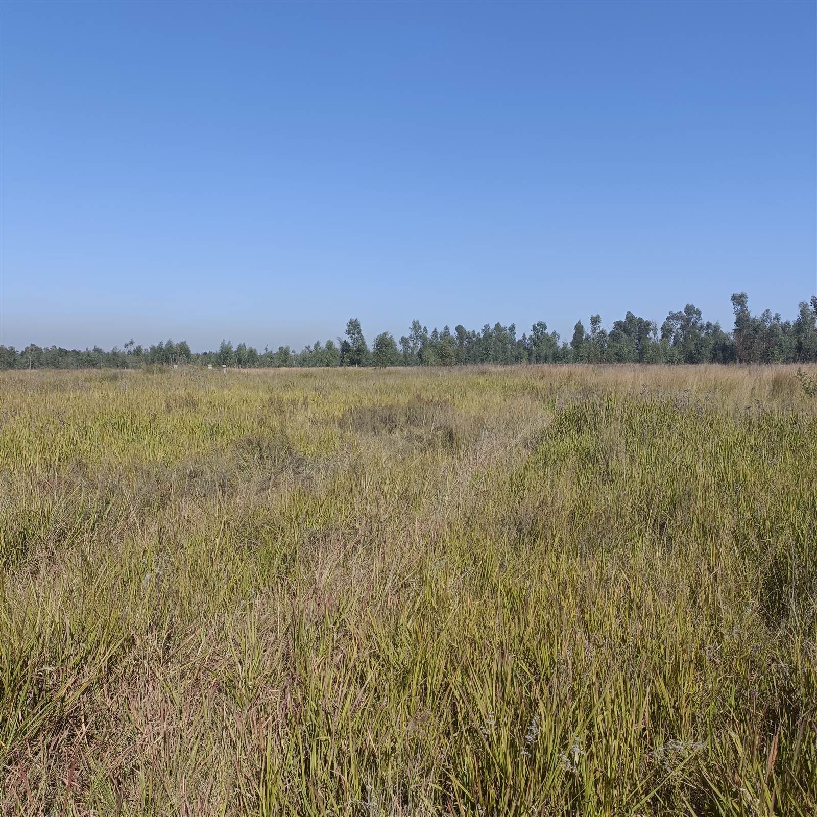 8.7 ha Land available in Cullinan and Surrounds photo number 22