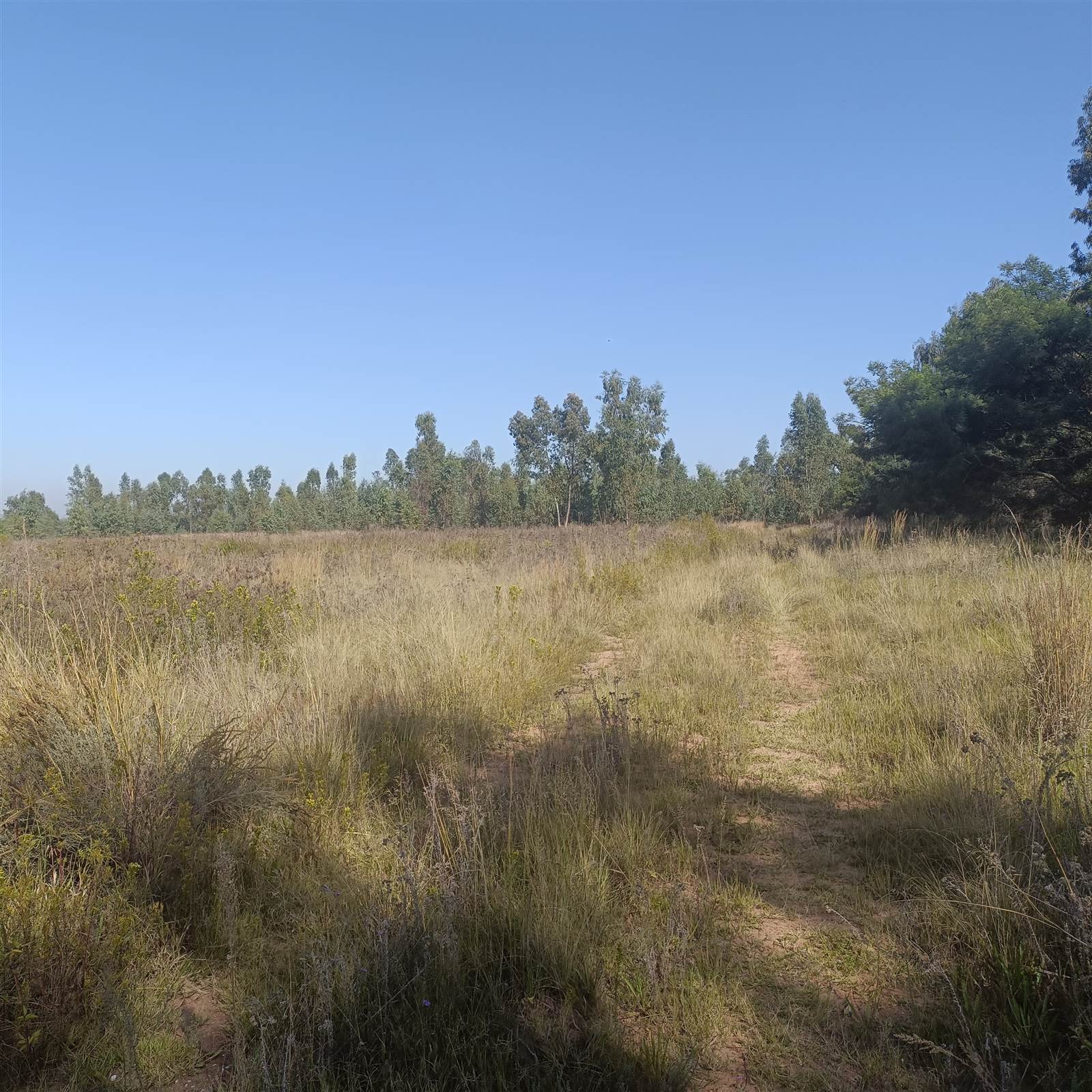 8.7 ha Land available in Cullinan and Surrounds photo number 10
